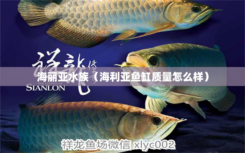 海丽亚水族（海利亚鱼缸质量怎么样） 全国水族馆企业名录