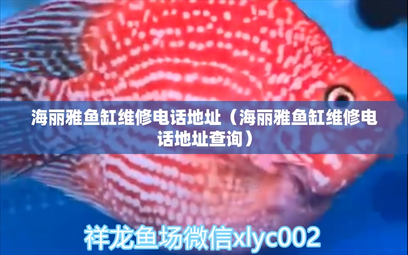 海丽雅鱼缸维修电话地址（海丽雅鱼缸维修电话地址查询） 祥龙水族医院