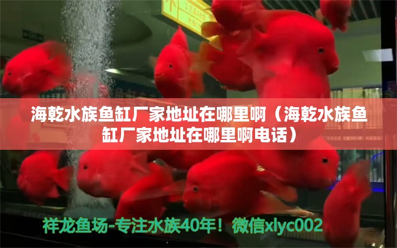 海乾水族鱼缸厂家地址在哪里啊（海乾水族鱼缸厂家地址在哪里啊电话） 观赏鱼市场（混养鱼）