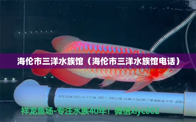 海伦市三洋水族馆（海伦市三洋水族馆电话）