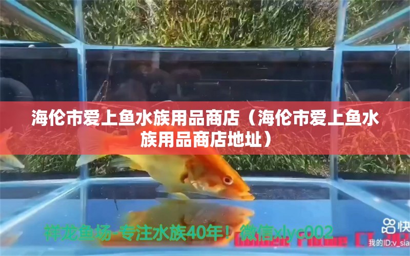 海伦市爱上鱼水族用品商店（海伦市爱上鱼水族用品商店地址） 水族用品