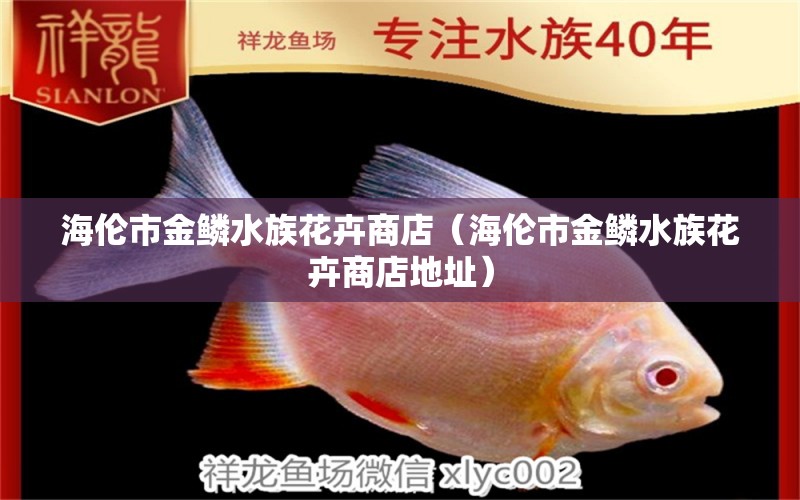 海伦市金鳞水族花卉商店（海伦市金鳞水族花卉商店地址） 全国水族馆企业名录