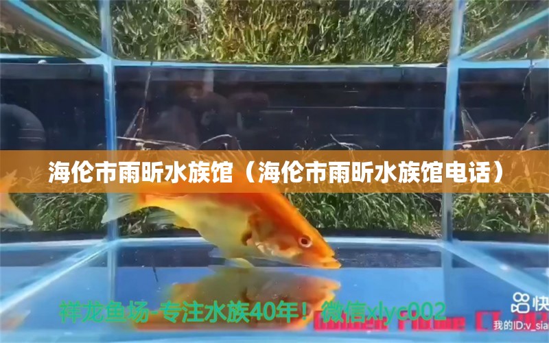 海伦市雨昕水族馆（海伦市雨昕水族馆电话）