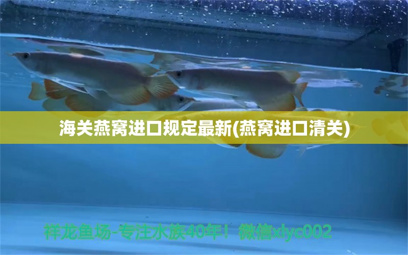 海关燕窝进口规定最新(燕窝进口清关) 马来西亚燕窝 第1张