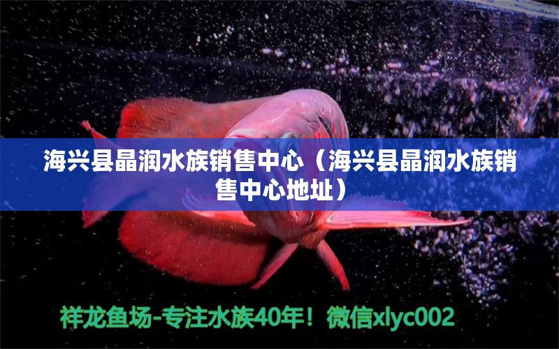 海兴县晶润水族销售中心（海兴县晶润水族销售中心地址） 全国水族馆企业名录