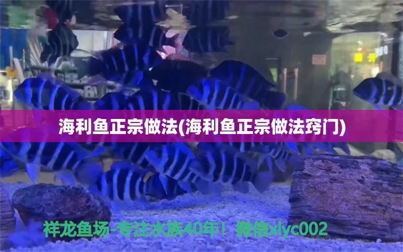 海利鱼正宗做法(海利鱼正宗做法窍门)