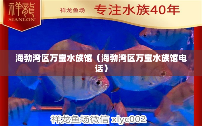 海勃湾区万宝水族馆（海勃湾区万宝水族馆电话） 全国水族馆企业名录