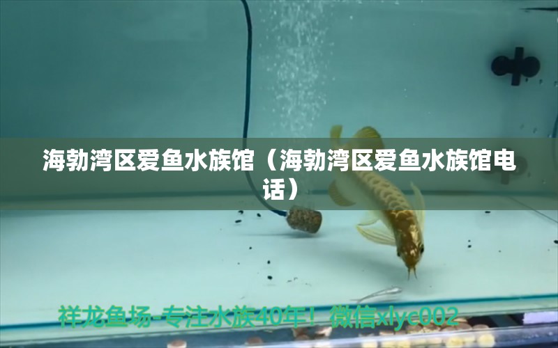 海勃湾区爱鱼水族馆（海勃湾区爱鱼水族馆电话）