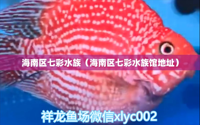 海南区七彩水族（海南区七彩水族馆地址） 全国水族馆企业名录