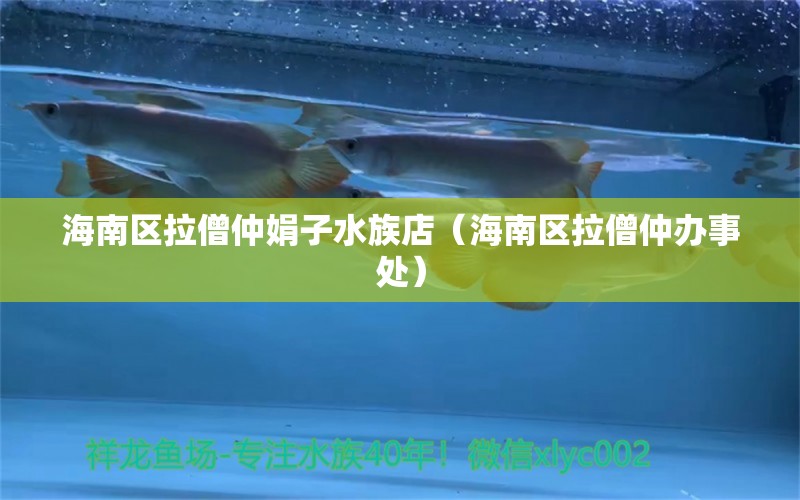 海南区拉僧仲娟子水族店（海南区拉僧仲办事处）