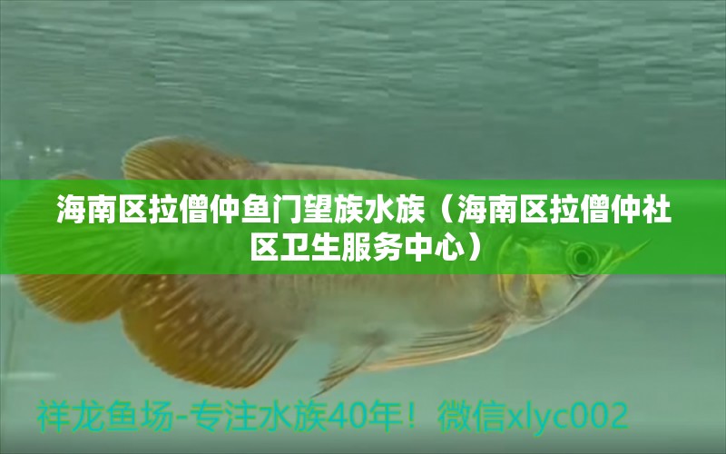 海南区拉僧仲鱼门望族水族（海南区拉僧仲社区卫生服务中心）