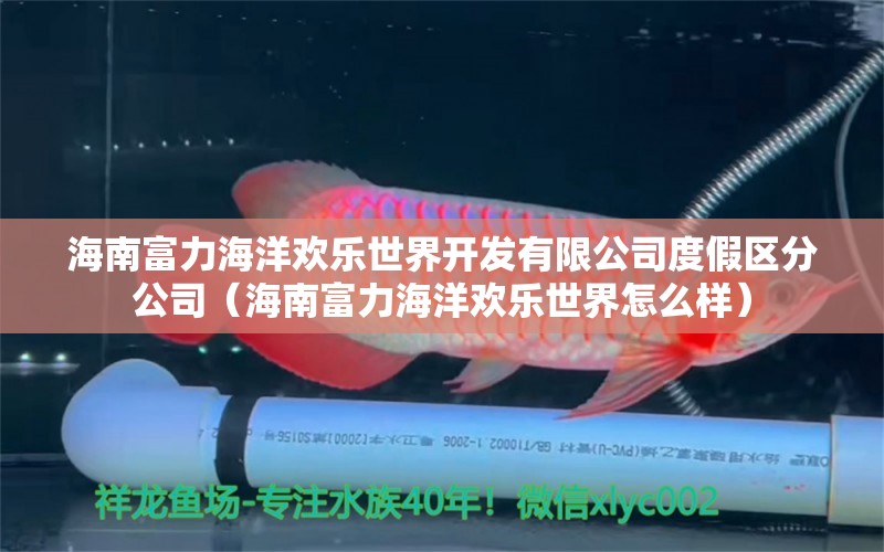 海南富力海洋欢乐世界开发有限公司度假区分公司（海南富力海洋欢乐世界怎么样）