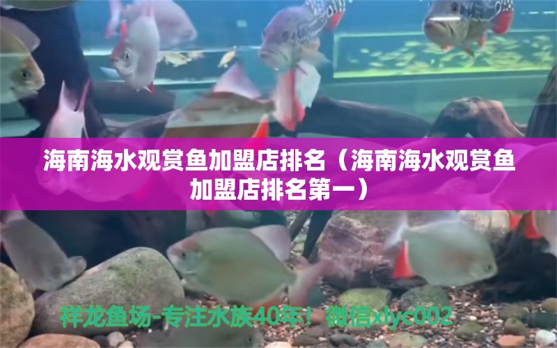 海南海水观赏鱼加盟店排名（海南海水观赏鱼加盟店排名第一）