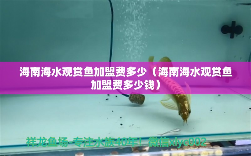 海南海水观赏鱼加盟费多少（海南海水观赏鱼加盟费多少钱）