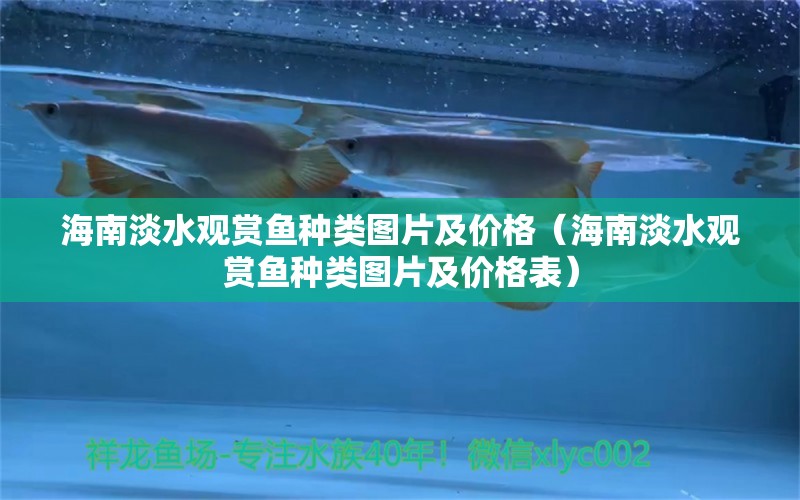 海南淡水观赏鱼种类图片及价格（海南淡水观赏鱼种类图片及价格表）