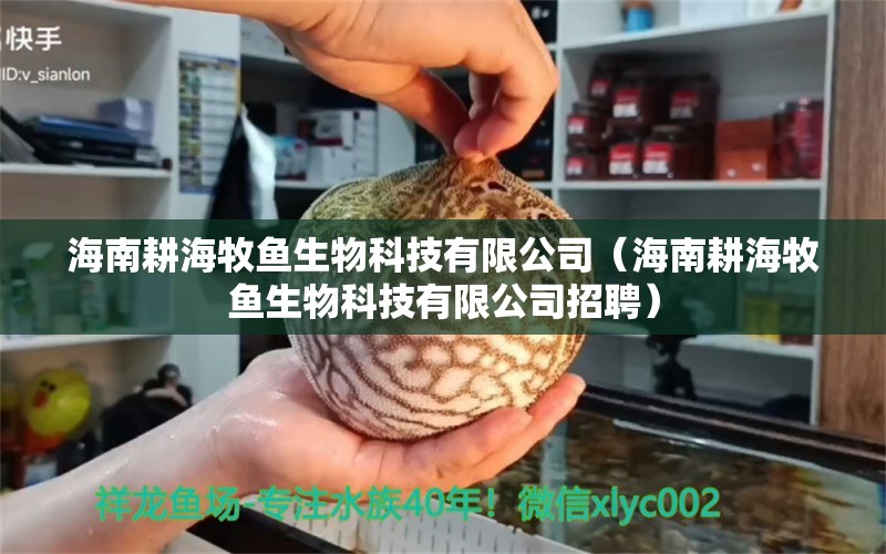 海南耕海牧鱼生物科技有限公司（海南耕海牧鱼生物科技有限公司招聘）