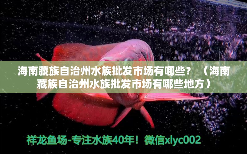 海南藏族自治州水族批发市场有哪些？ （海南藏族自治州水族批发市场有哪些地方） 观赏鱼水族批发市场 第1张