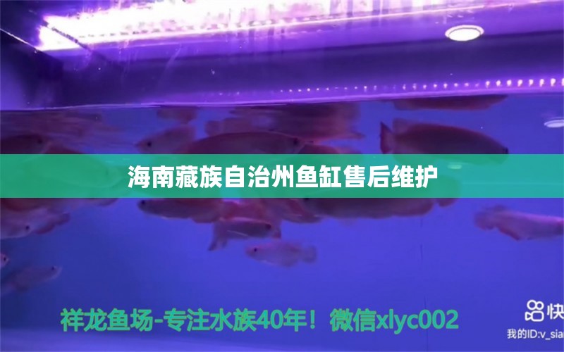 海南藏族自治州鱼缸售后维护