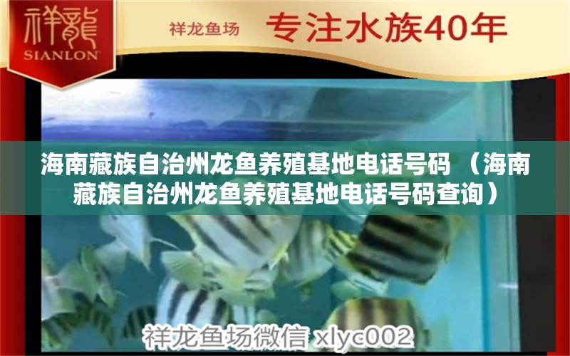 海南藏族自治州龙鱼养殖基地电话号码 （海南藏族自治州龙鱼养殖基地电话号码查询）