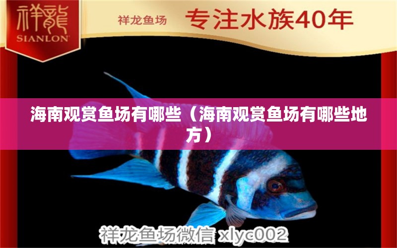 海南观赏鱼场有哪些（海南观赏鱼场有哪些地方） 祥龙水族医院