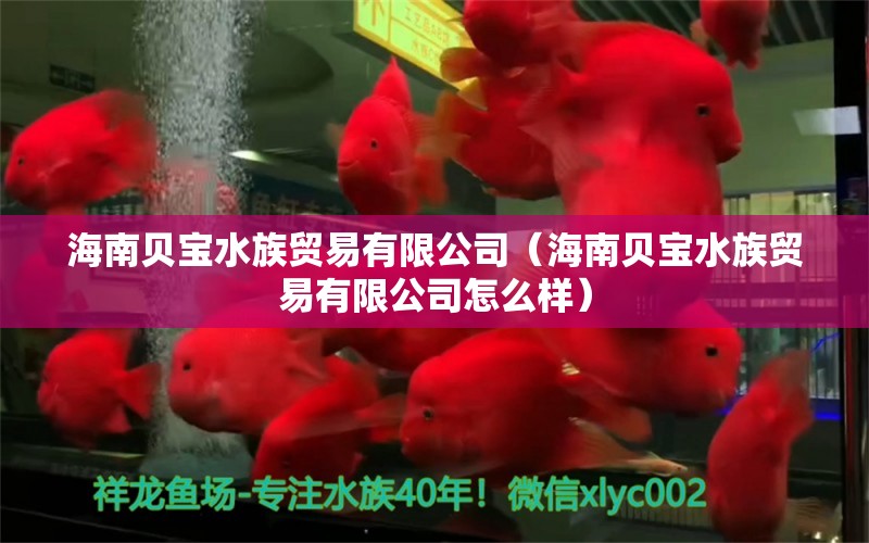 海南贝宝水族贸易有限公司（海南贝宝水族贸易有限公司怎么样） 全国水族馆企业名录