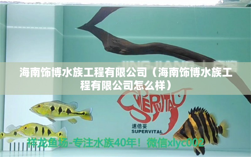 海南饰博水族工程有限公司（海南饰博水族工程有限公司怎么样）