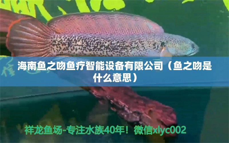 海南鱼之吻鱼疗智能设备有限公司（鱼之吻是什么意思）