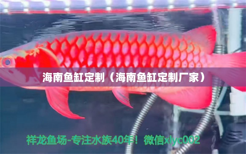 海南鱼缸定制（海南鱼缸定制厂家）