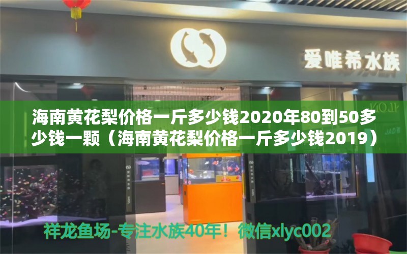 海南黄花梨价格一斤多少钱2020年80到50多少钱一颗（海南黄花梨价格一斤多少钱2019）