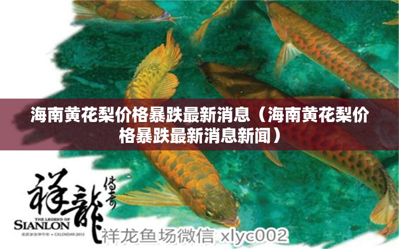 海南黄花梨价格暴跌最新消息（海南黄花梨价格暴跌最新消息新闻）