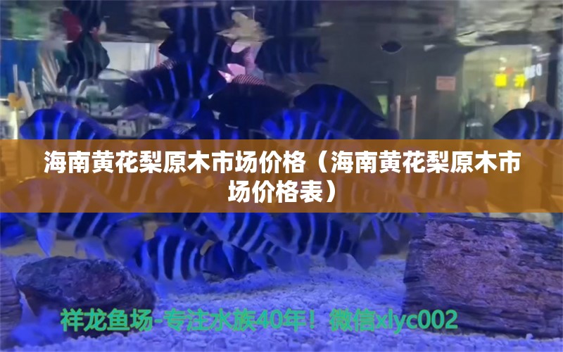 海南黄花梨原木市场价格（海南黄花梨原木市场价格表） 文玩