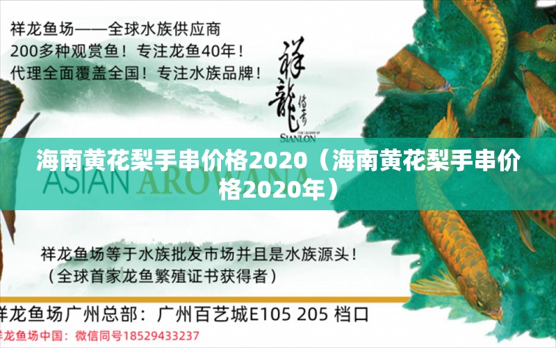 海南黄花梨手串价格2020（海南黄花梨手串价格2020年） 文玩