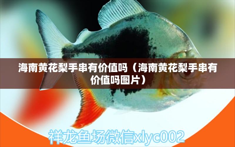 海南黄花梨手串有价值吗（海南黄花梨手串有价值吗图片）