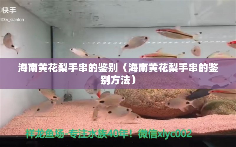 海南黄花梨手串的鉴别（海南黄花梨手串的鉴别方法） 文玩