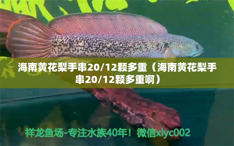 海南黄花梨手串20/12颗多重（海南黄花梨手串20/12颗多重啊）