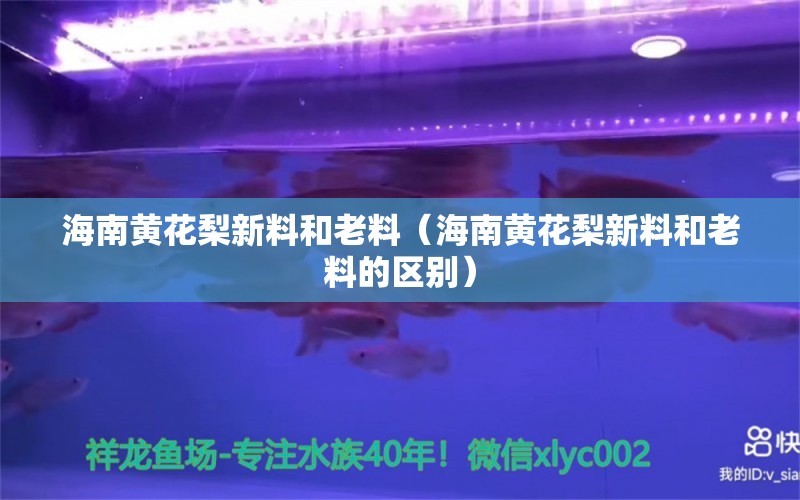 海南黄花梨新料和老料（海南黄花梨新料和老料的区别）