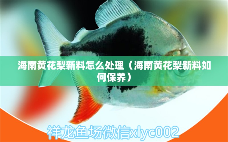 海南黄花梨新料怎么处理（海南黄花梨新料如何保养） 文玩