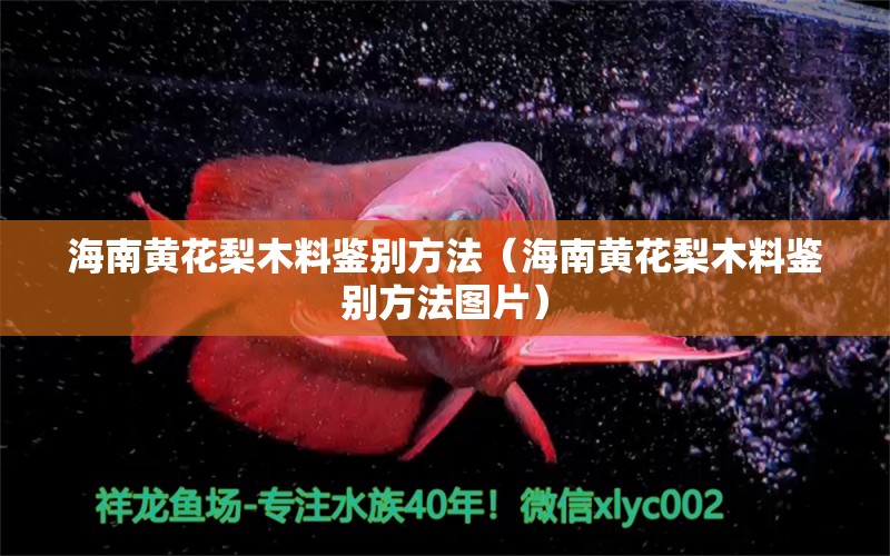 海南黄花梨木料鉴别方法（海南黄花梨木料鉴别方法图片）