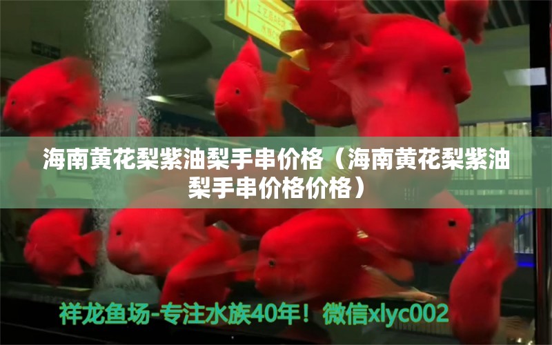 海南黄花梨紫油梨手串价格（海南黄花梨紫油梨手串价格价格）