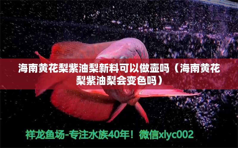 海南黄花梨紫油梨新料可以做壶吗（海南黄花梨紫油梨会变色吗）