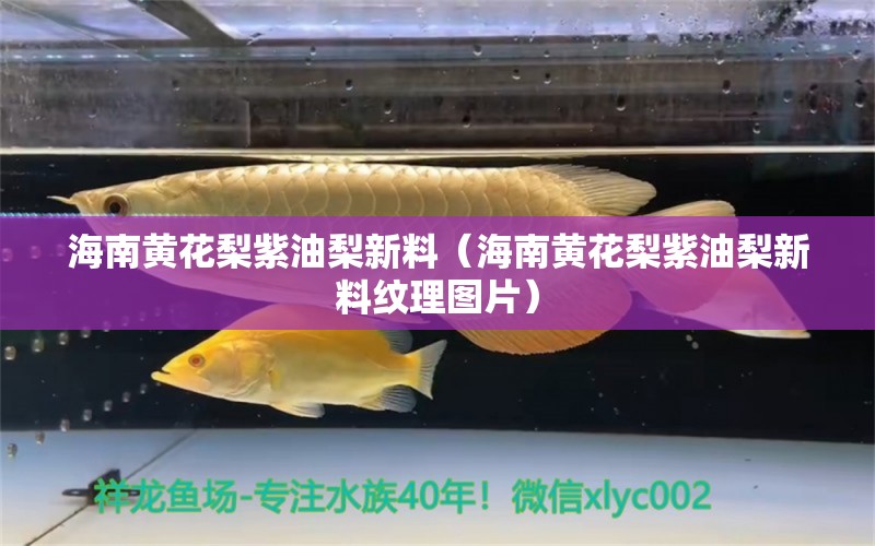 海南黄花梨紫油梨新料（海南黄花梨紫油梨新料纹理图片）