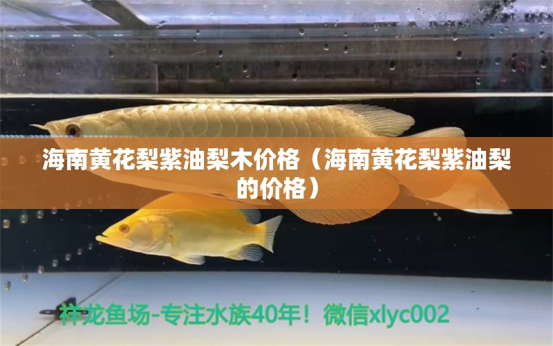 海南黄花梨紫油梨木价格（海南黄花梨紫油梨的价格）