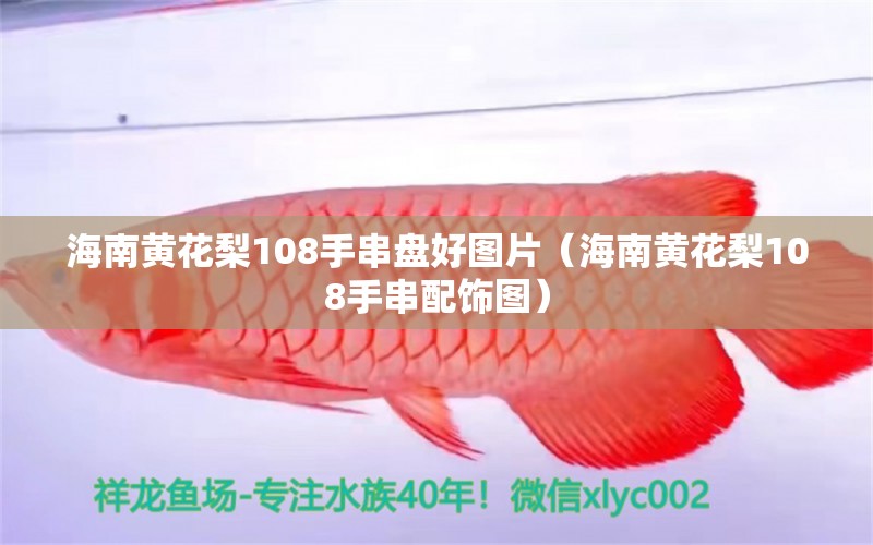 海南黄花梨108手串盘好图片（海南黄花梨108手串配饰图） 文玩