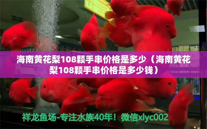 海南黄花梨108颗手串价格是多少（海南黄花梨108颗手串价格是多少钱）