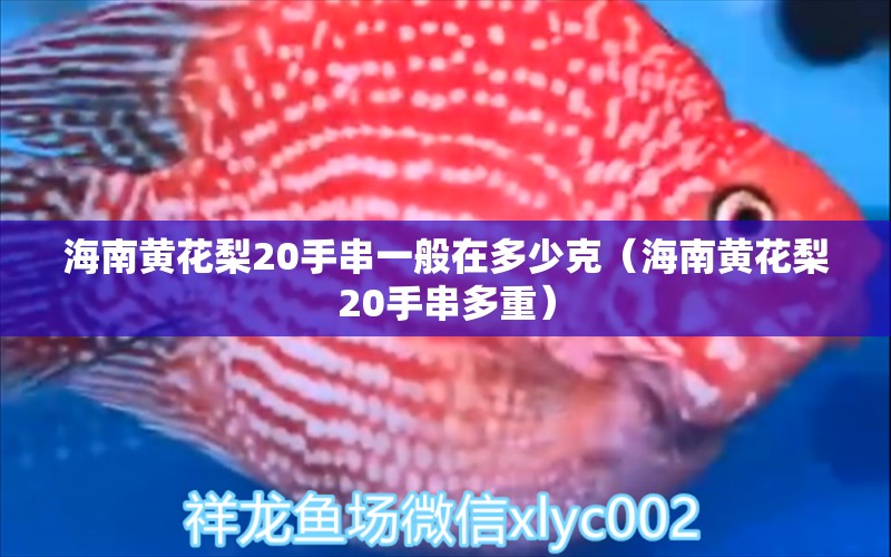 海南黄花梨20手串一般在多少克（海南黄花梨20手串多重） 文玩