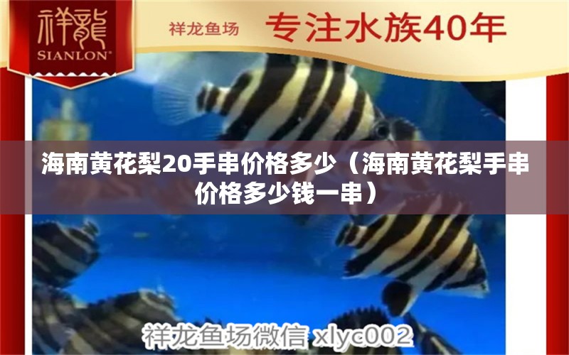 海南黄花梨20手串价格多少（海南黄花梨手串价格多少钱一串） 文玩