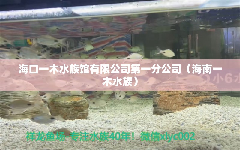 海口一木水族馆有限公司第一分公司（海南一木水族） 全国水族馆企业名录