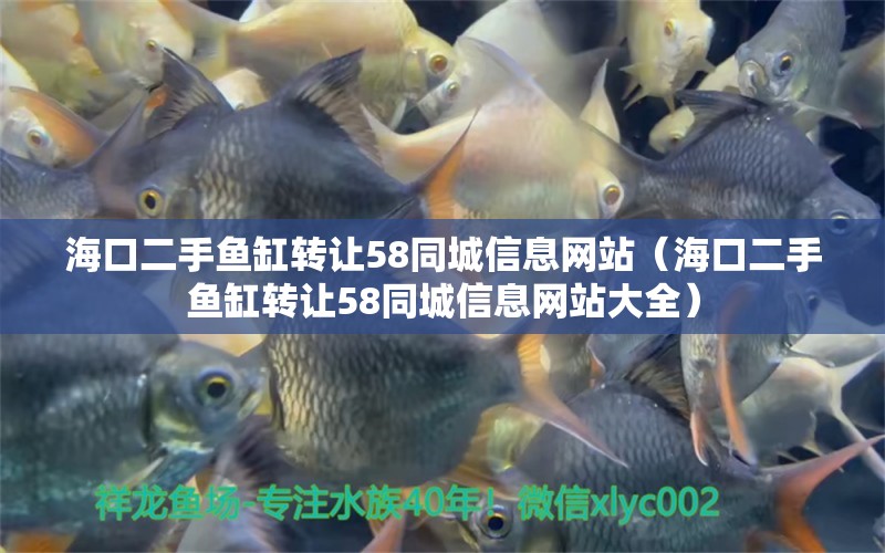 海口二手鱼缸转让58同城信息网站（海口二手鱼缸转让58同城信息网站大全） 观赏鱼市场（混养鱼）