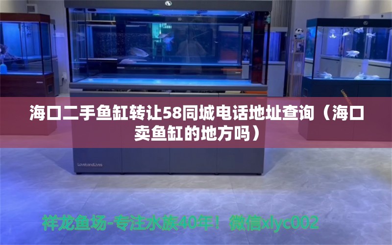 海口二手鱼缸转让58同城电话地址查询（海口卖鱼缸的地方吗） 水族世界