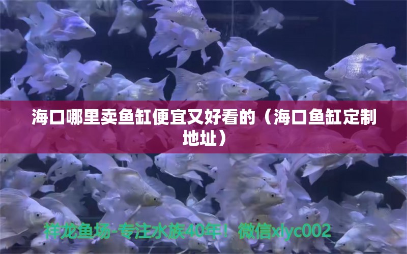 海口哪里卖鱼缸便宜又好看的（海口鱼缸定制地址） 白子银版鱼苗